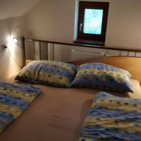 Apartman Damiko Lägenhet Chřibská Exteriör bild