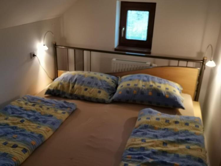 Apartman Damiko Lägenhet Chřibská Exteriör bild
