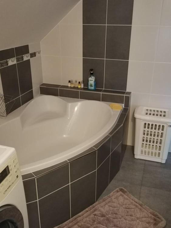 Apartman Damiko Lägenhet Chřibská Exteriör bild