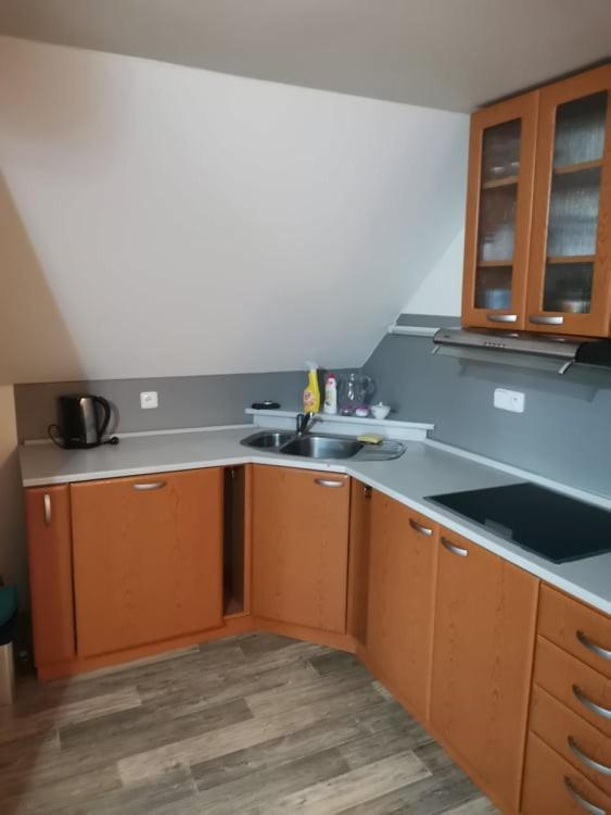Apartman Damiko Lägenhet Chřibská Exteriör bild