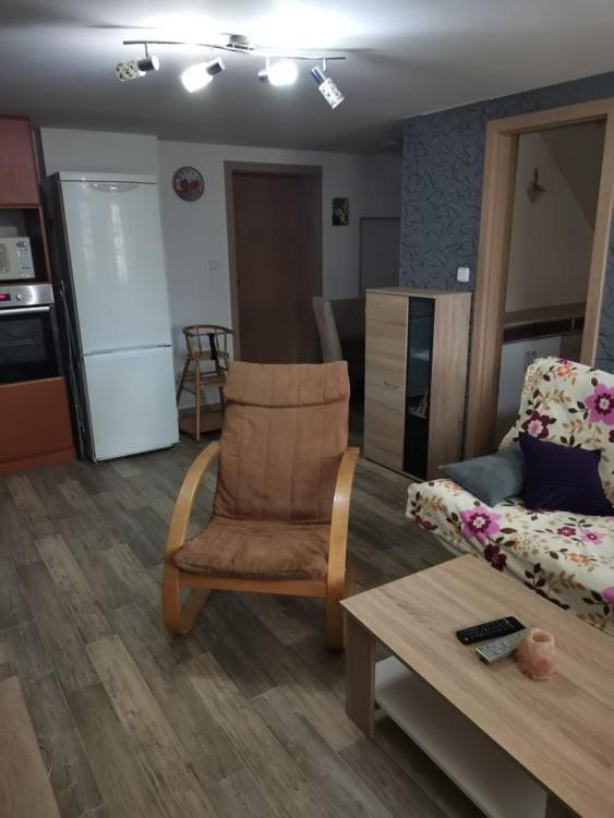 Apartman Damiko Lägenhet Chřibská Exteriör bild